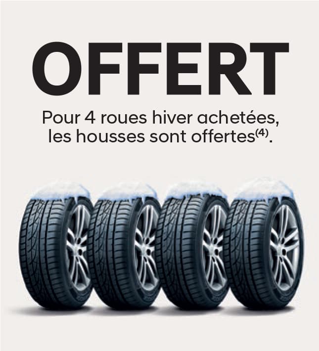 OFFERT : Pour 4 roues hiver achetées, les housses sont offertes (4)